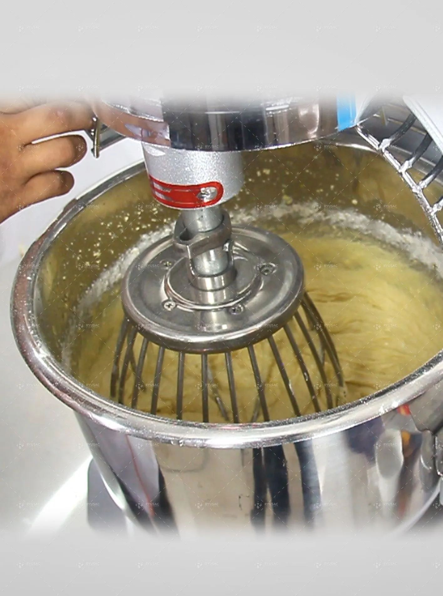 Batidora Amasadora y Mezcladora Multifuncional de 20 litros - RYU