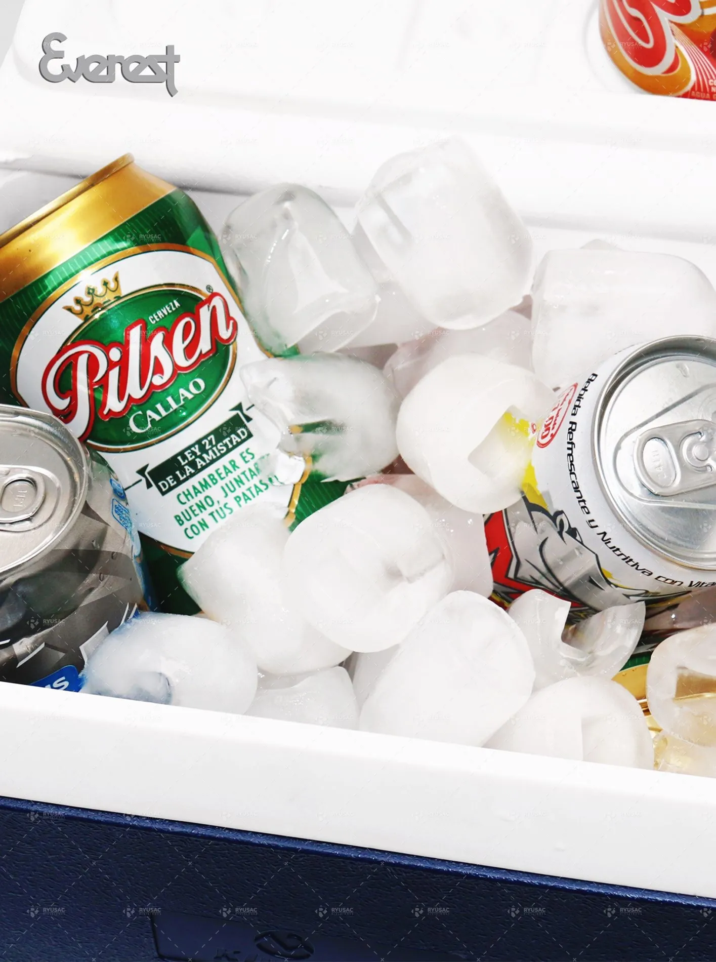 Máquina para hacer Hielo en cubos 50 kg en 24 horas EGC-50A - EVEREST