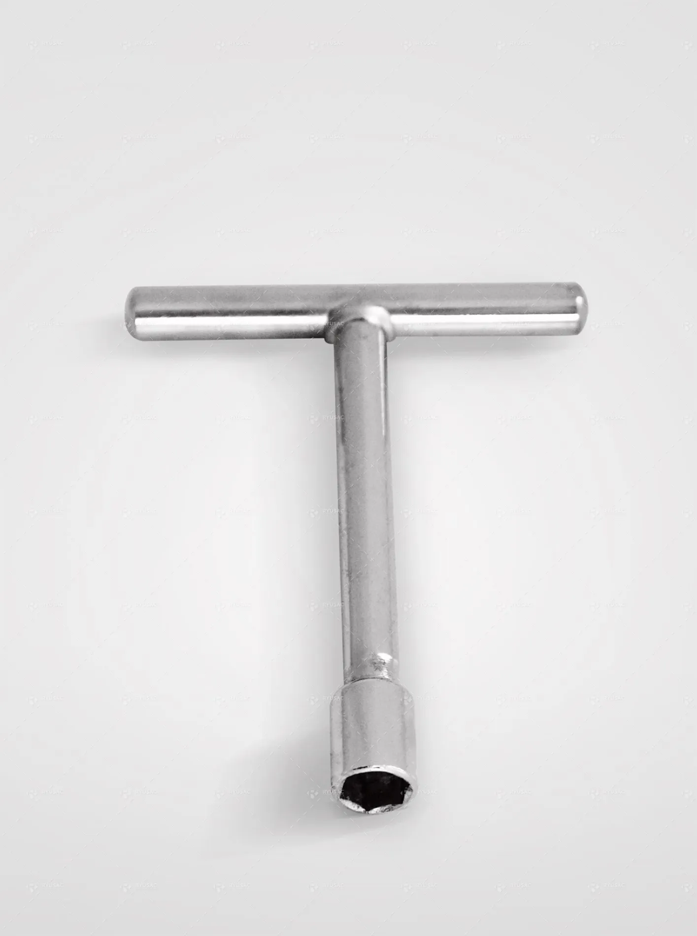 Extractor de Frutas y Verduras 110 KG/H – RYU