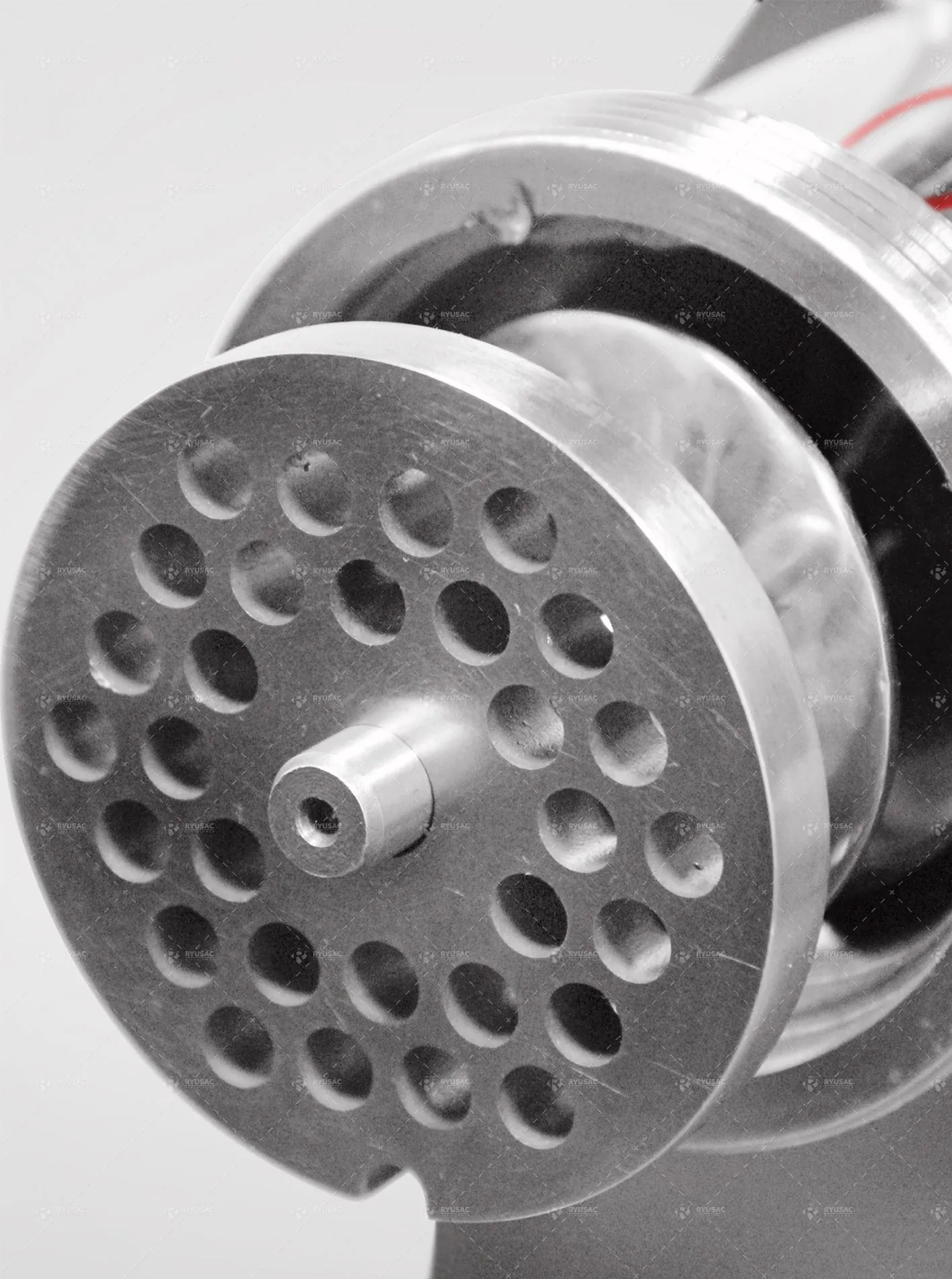 Moledora de Carne 220 kg - RYU