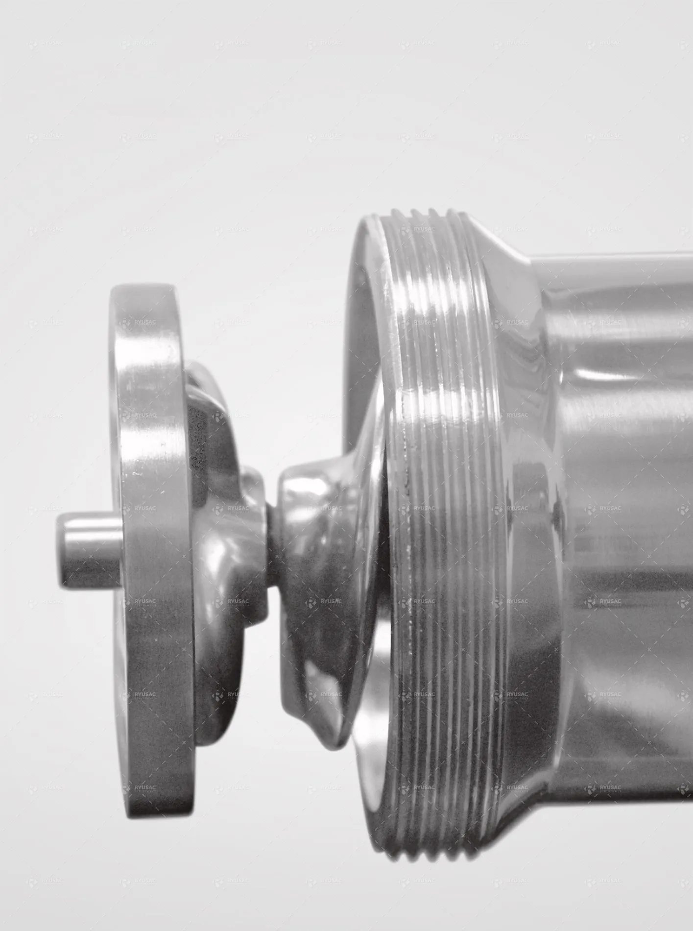 Moledora de Carne 220 kg - RYU